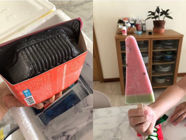 동남아 물류서비스 전문업체 토로스, 싱가포르 냉동 배송 오픈했다.